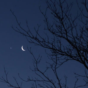 Meet your Posher, Jackson